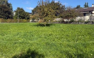 Villa 5.5 Zimmer - image - 6