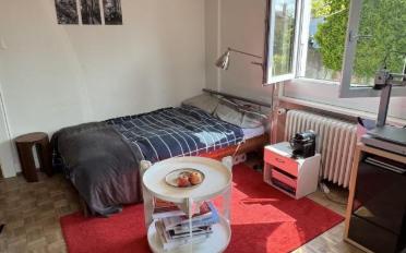 Single room 1 room - image - 2