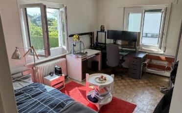 Single room 1 room - image - 1