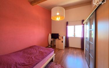 Einfamilienhaus 4.5 Zimmer - image - 8