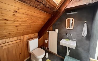Attic 3 rooms - image - 13
