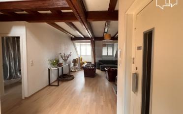 Attic 3 rooms - image - 10