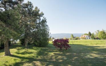 Wohnung 4 Zimmer - image - 11
