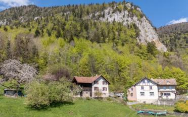Einfamilienhaus 6 Zimmer - image - 2