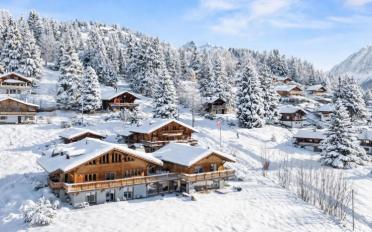 Chalet 10 rooms - image - 1