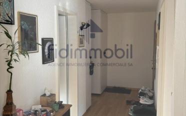 Attikawohnung 4.5 Zimmer - image - 11