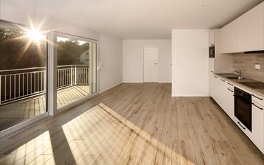 Wohnung 2.5 Zimmer - image - 1