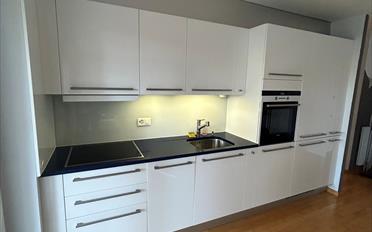 Wohnung 2.5 Zimmer - image - 1