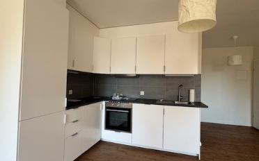 Appartement 2.5 pièces - image - 2