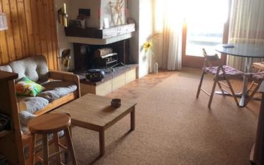 Appartement 2.5 pièces - image - 2
