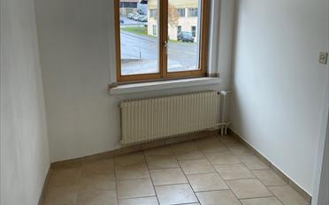 Wohnung 1.5 Zimmer - image - 4