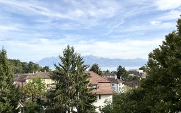 Wohnung 2.5 Zimmer - image - 6