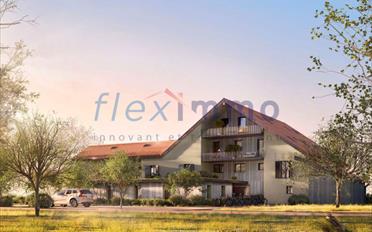 Duplex 4.5 Zimmer - image - 3