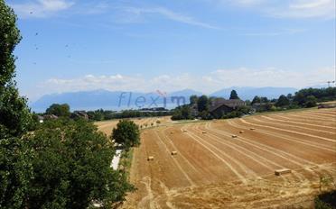 Wohnung 4 Zimmer - image - 2