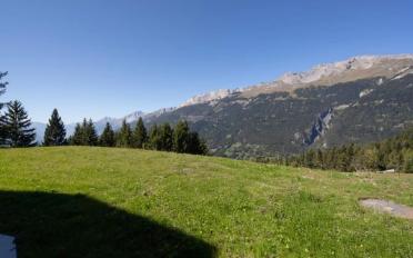 Chalet 5.5 Zimmer - image - 7