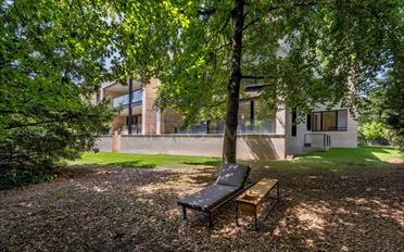 Wohnung 9 Zimmer - image - 9