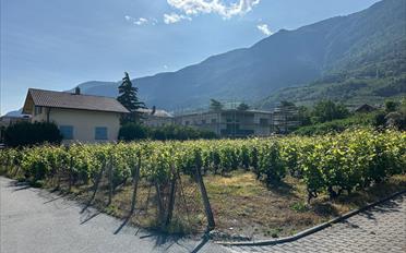 Wohnung 3.5 Zimmer - image - 1