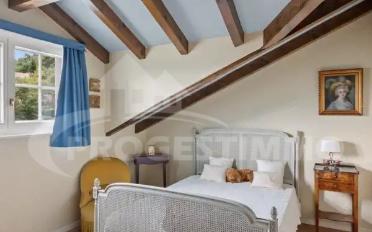 Villa 8 Zimmer - image - 2