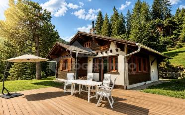 Chalet 5.5 pièces - image - 1