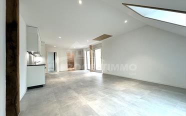 Wohnung 2.5 Zimmer - image - 4