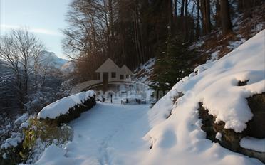 Chalet 4.5 Zimmer - image - 2