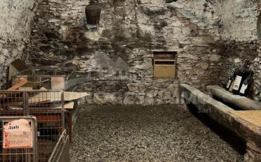 Residential building 9.5 rooms - image - 11