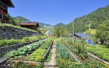 Chalet 4.5 rooms - image - 12