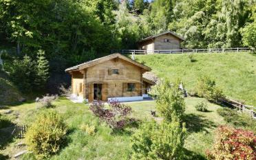 Chalet 3 pièces - image - 1