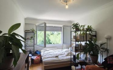Wohnung 2 Zimmer - image - 3
