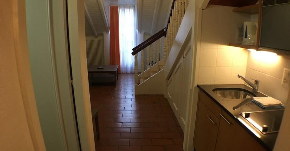 Carouge GE