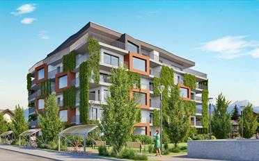 Apartment 2.5 rooms - image - 1