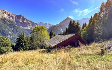 Chalet 7.5 Zimmer - image - 1