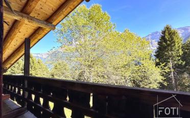 Chalet 7.5 rooms - image - 5