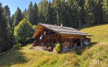 Chalet 7.5 pièces - image - 7