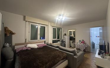 Wohnung 1.5 Zimmer - image - 1