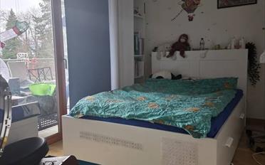 Wohnung 6.5 Zimmer - image - 5