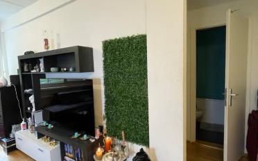 Appartement 3 pièces - image - 5