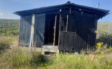 Single house 1 room - image - 1