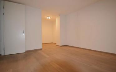 Appartement 5.5 pièces - image - 6