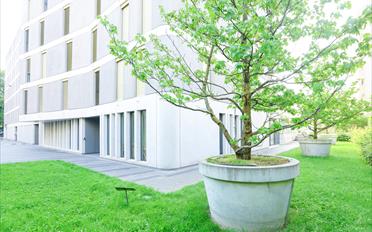 Appartement 4 pièces - image - 13