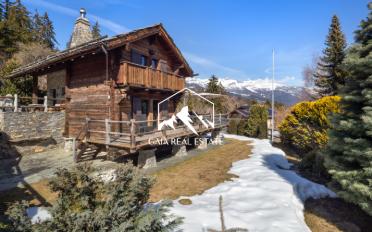 Chalet 4 pièces - image - 22