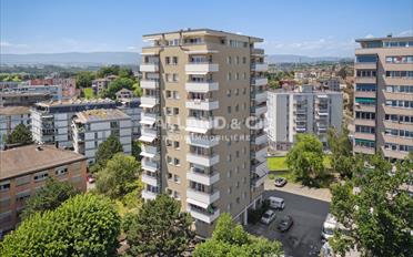 Place couverte - image - 1