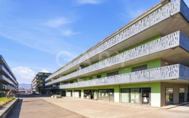 Wohnung 4 Zimmer - image - 4