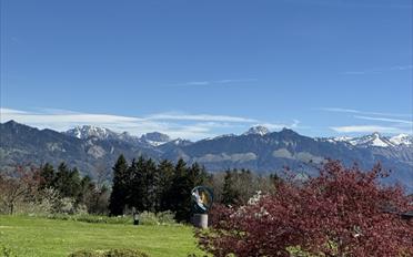 Einfamilienhaus 10 Zimmer - image - 13