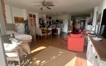 Loft 1.5 rooms - image - 2