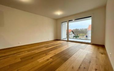 Wohnung 2.5 Zimmer - image - 3