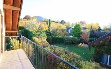 Single house - image - 4