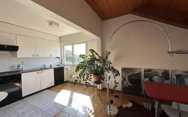 Apartment 2.5 rooms - image - 1