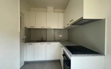 Apartment 1 room - image - 4