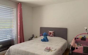 Wohnung 4.5 Zimmer - image - 5